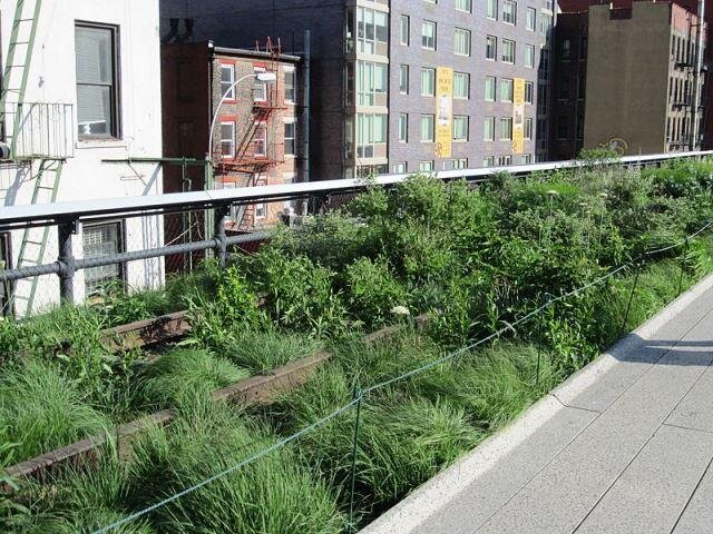 High Line je ve světě designu a architektury považován za obrovský úspěch. 