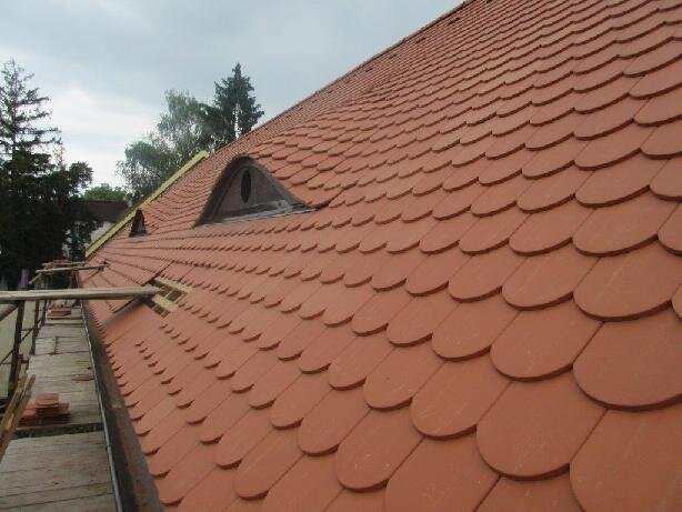 Detail vykrytí volského oka