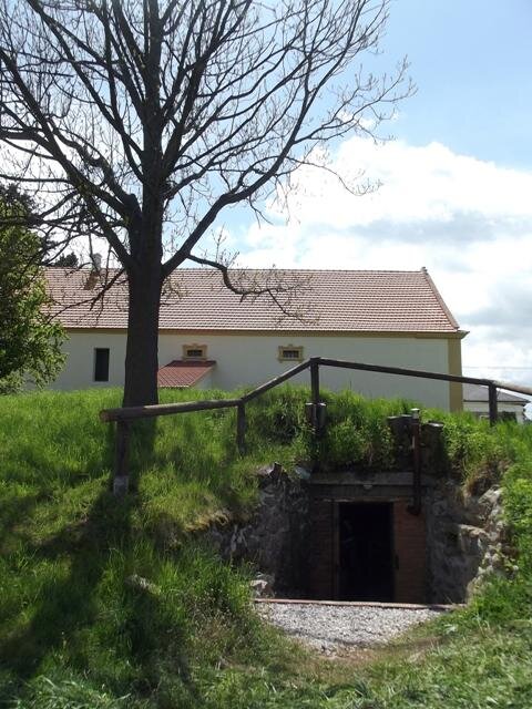 Vstup do pivovarského sklepa pod špejcharem. Oba objekty jsou dnes propojeny dobudovaným vnitřním schodištěm. 