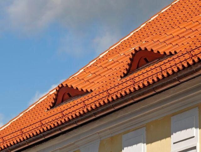 Detail na volská oka
