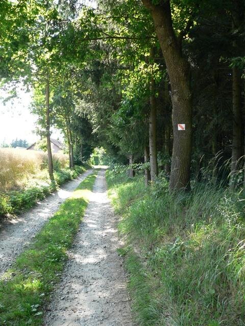 Naučná stezka je značena červenou turistickou značkou.