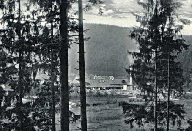 Rajnochovice - parní pila 1923