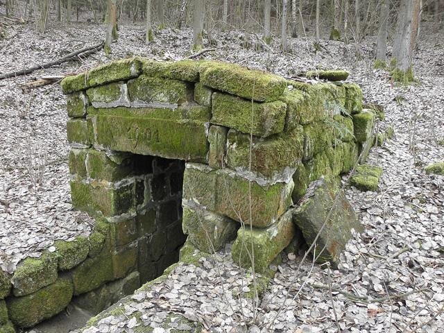 Za finanční podpory Libereckého kraje má být opravena studánka pod obcí Luka.
