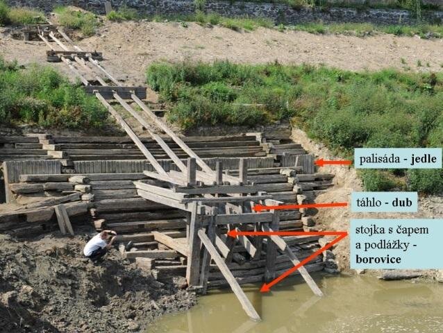 První výsledky druhové skladby použitého dřeva