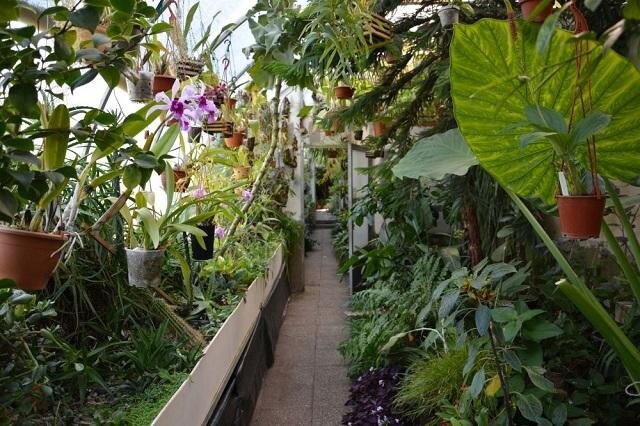 Ve skleníku je k vidění široká škála orchidejí.