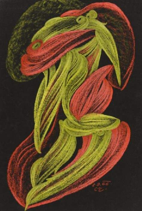 Květy, pastel-černý papír – Cecílie Marková