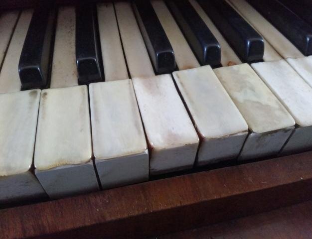 Klávesy varhan Opus 59