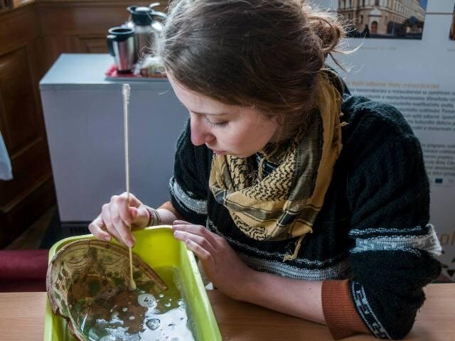 Studentka Vyšší odborné školy restaurátorské v Brně při práci v rámci akce Slavkovské restaurování