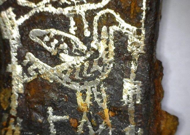 Detail sekery, zobrazení ptáka
