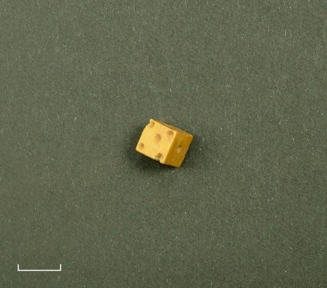 Archeologický nález – hrací kostka