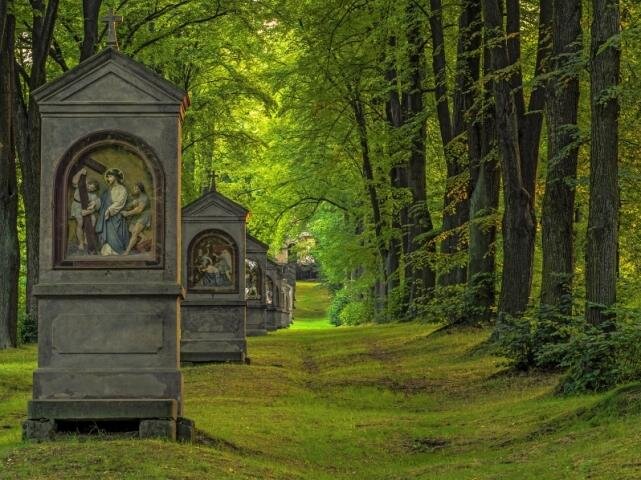 Fotografie aleje na Křížovém vrchu u Cvikova na Liberecku zaujala porotu, která jí nakonec přiřkla 3. místo v kategorii patronů o nejpůsobivější snímek.