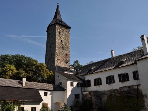 Organizace Vysočina Tourism připravuje v rámci oslav 700. výročí narození Karla IV. na srpen netradiční kostýmované prohlídky na hradě Roštejn na Jihlavsku.