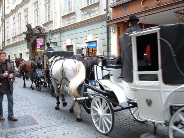 Konference Královská cesta na scestí se zaměří na současný stav a budoucnost Královské cesty, trasy a symbolu historického jádra Prahy zapsaného v rámci pražské památkové rezervace na Seznam UNESCO.