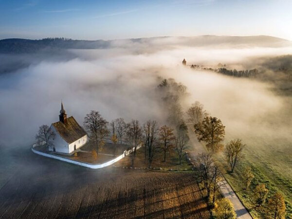 Šonovská alej u kostela Nanebevzetí Panny Marie poblíž hradu Veveří soutěžila v roce 2019.