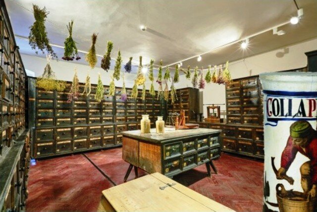 Vlastivědné muzeum v Olomouci otevřelo pro návštěvníky další stálou expozici – Herbárium.