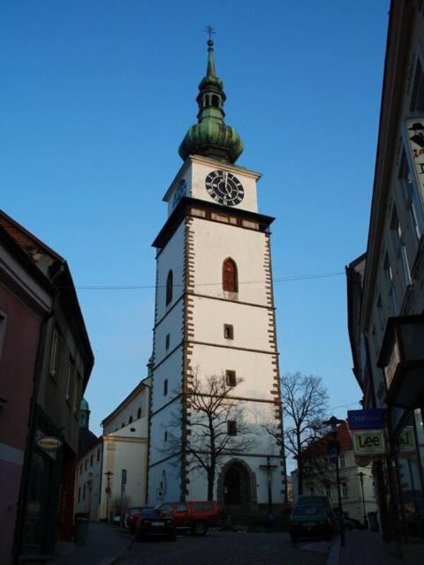 Na nové varhany v kostele sv. Martina v Třebíči je potřeba  dát dohromady částku téměř 9,5 milionu korun. 