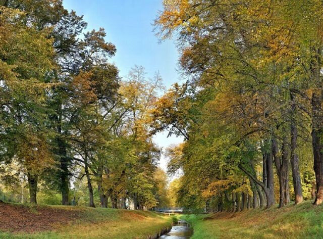 Největší podporu získala v anketě alej v Rakovníku lemující tamní potok v délce 3,7 kilometru. Je současně nejdelší památnou alejí v zemi.