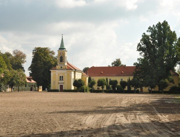 Stavební práce na obnově 17 objektů a třech prostranství kladrubského hřebčína vyjdou na 205 milionů korun včetně DPH.