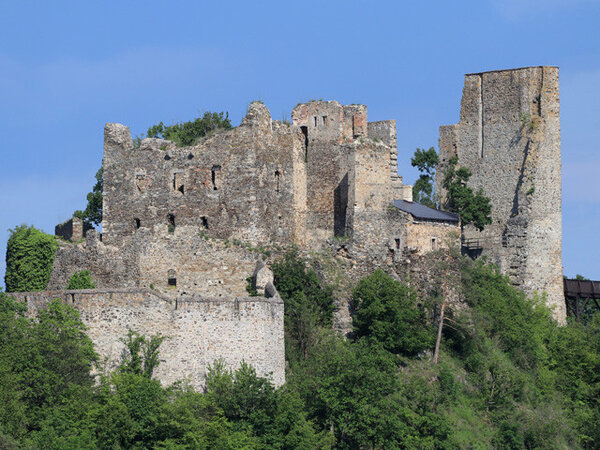 Cornštejn představuje cenný doklad vývoje středověkého feudálního sídla a pevnostní architektury v torzální podobě. 
