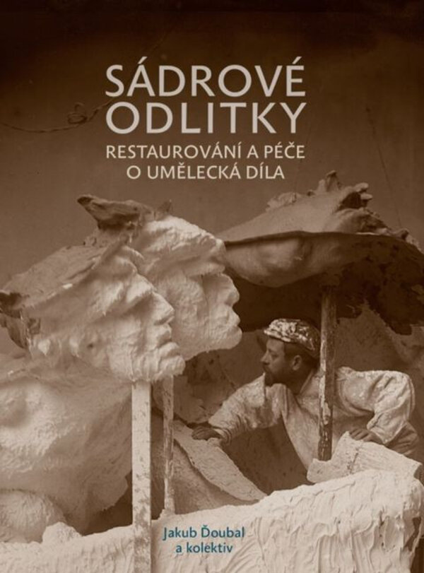 Publikace je plná praktických doporučení a návodů.