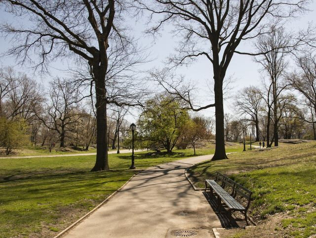 Central park v New Yorku (ilustrační foto)