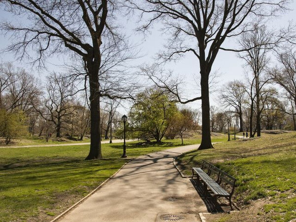 Central park v New Yorku (ilustrační foto)