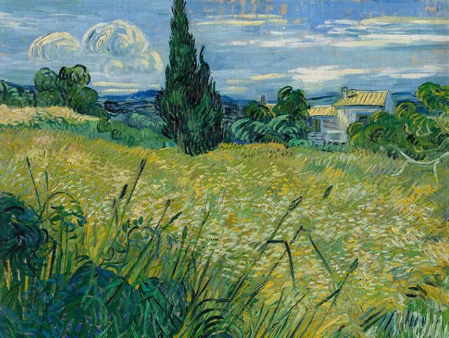 Vincent van Gogh: Zelené obilí, 1889 (ilustrační foto)