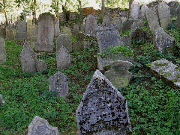 Židovský hřbitov v Polné čítá více než tisíc náhrobků. 