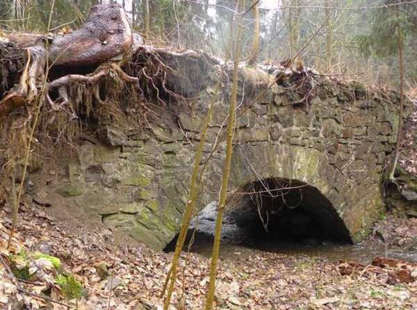 Pod silným nánosem vegetace se mohou ukrývat zbytky původní štětové vozovky.