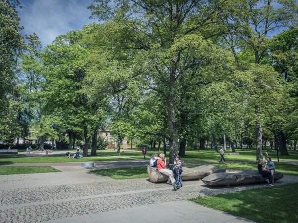 Konference bude zaměřena na městskou zeleň a její úlohu ve veřejném prostoru (ilustrační foto). 