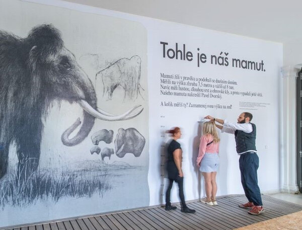 (Nejen) děti poměří svou výšku s mamutem.