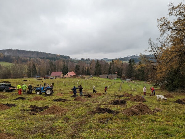 Ovocný sad v obci Stará Bříště