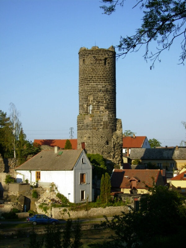 Kraj přispěl na konzervaci věže zříceniny hradu v Jenštejně.