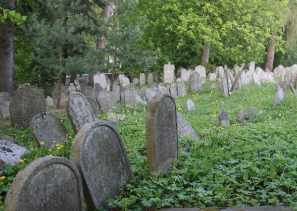 Nové informační brožury kraje Vysočina mohou zájemce zavést k rozmanitým památkám, například na židovský hřbitov v Třešti (na snímku). 