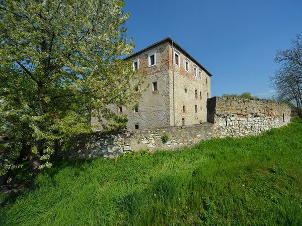 Po dohodě historiků a pracovníků památkové péče začal být poprvé používán pro šlechtické sídlo v Kurovicích termín hrad v loňské publikaci Hrady Zlínského kraje.