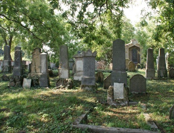 Na znovupostavení pobořených náhrobků na židovském hřbitově v Podivíně získala společnost Matana příspěvek ve výši 181 tisíc korun. 