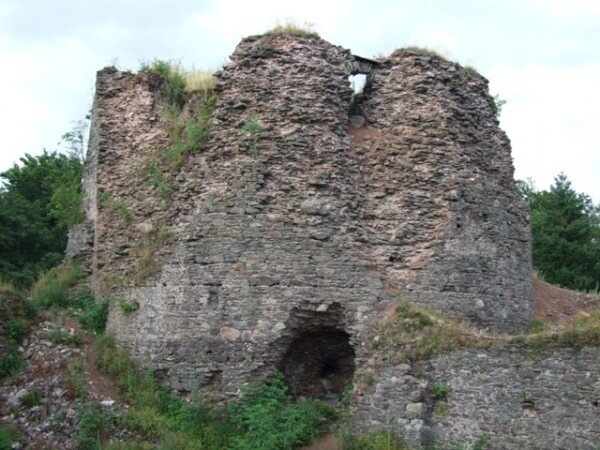 Na záchraně hradu Frymburk se podílí dobrovolníci z občanského sdružení Společnost ochránců památek ve východních Čechách.